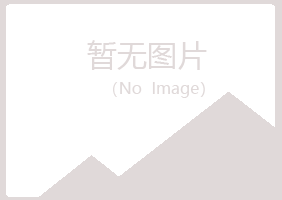 邢台桥西女孩能源有限公司